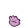 Ditto