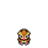 Pidgey