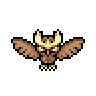 Noctowl