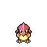 Pidgeotto