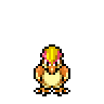 Pidgeot