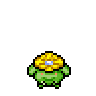 Skiploom