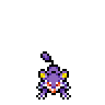 Rattata