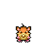 Raticate
