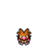 Spearow