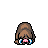 Piloswine