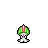 Ralts