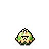 Shroomish