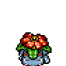 Venusaur