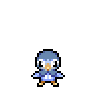 Piplup
