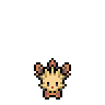 Lillipup