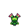 Maractus