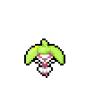 Steenee