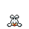 Seel